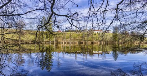 Free Images Reflection Tree Body Of Water Wetland Sky Nature