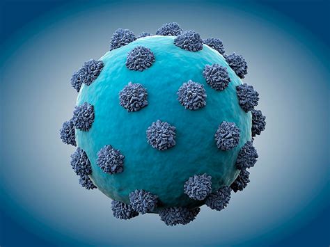Vhc El Virus De La Hepatitis C Parte I Punto Crítico Derechos Humanos