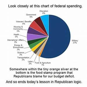 United States Is This Pie Graph Describing Us Government