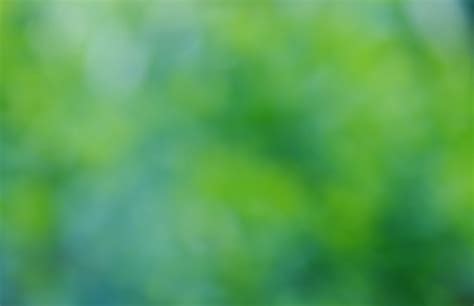 Blurred Background Green Free Stock Photo Public Domain Pictures