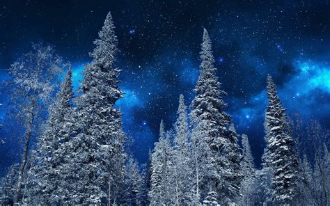 Download Star Starry Sky Sky Forest Snow Tree Nature Winter Hd Wallpaper