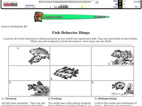 Fish Behavior Bingo Interactive For 1st 4th Grade Lesson Planet