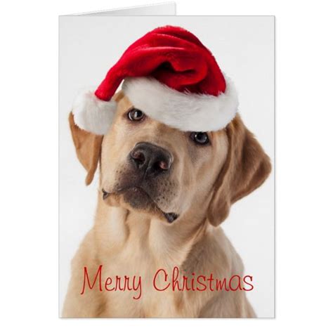Cute Yellow Lab Dog With Santa Hat Christmas Card