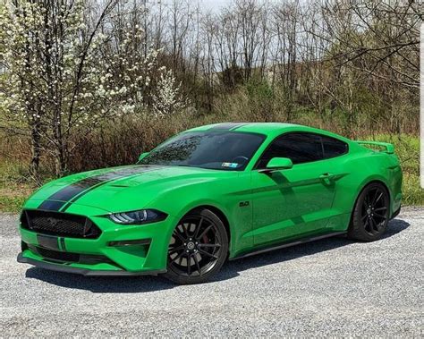 Pin By Ray Wilkins On Mustangs Ford Mustang Mustang Dream Cars