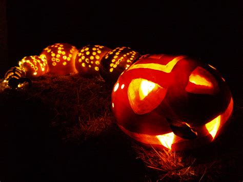 Diamond Back Rattle Snake Pumpkin Rattle Snake Pumpkin A Flickr