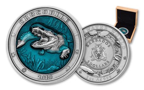 2019 Barbados 5 3 Oz Silver Crocodile Antiqued Coin Underwater World