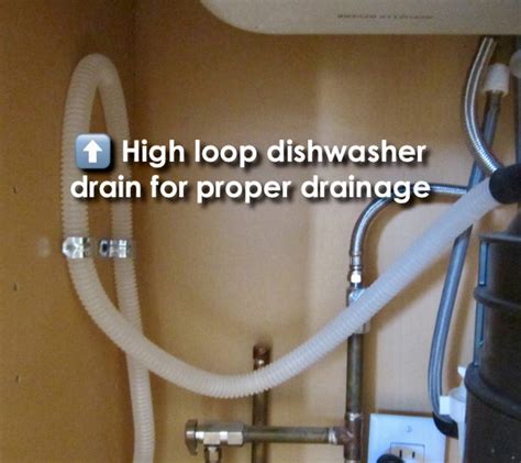 Norma Vally Looping Your Dishwasher Drain Hose Higher Than The Bottom