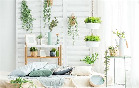 5 Tips For Eco Friendly Interior Design Southern Motion