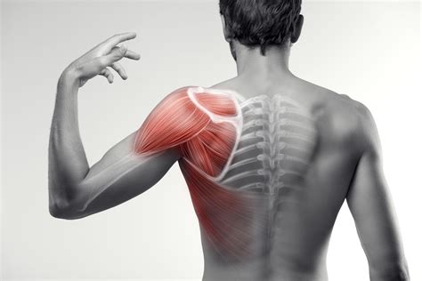 Shoulder Injuries And Pain Bennulife Stem Cell Therapy