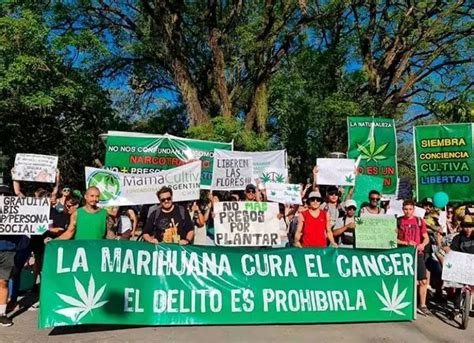 El Chaco Se Suma A La Marcha Nacional Del Cannabis Bajo La Consigna