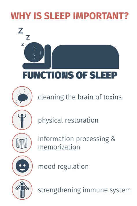 Why Is Sleep Important 5 Functions Of Sleep Simply Good Sleep Simply