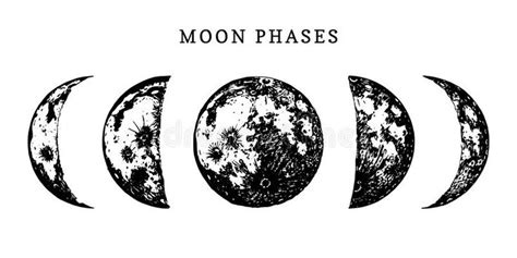 Moon Phases Image On White Background Hand Drawn Vector Illustration
