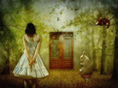 The Magical World Of Alice Alice In Wonderland Photography