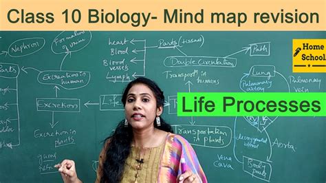 Life Processes Class 10 Biology Mind Map Revision Youtube