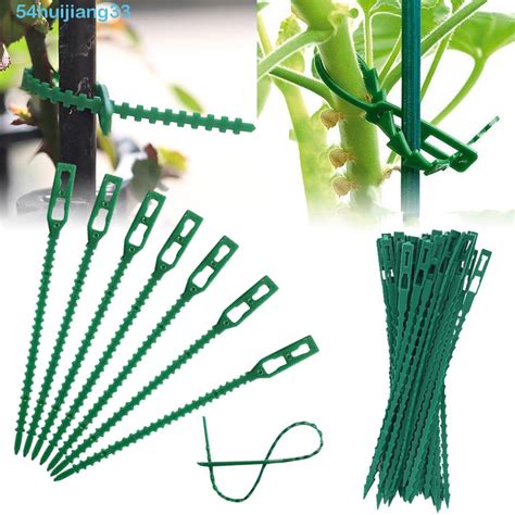 Huijiang Plant Support Clip 100pcs Durable Vegetables Tree Greenhouse