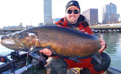 New World Record Brown Trout Caught In Milwaukee Harbor Big Kype