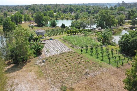 Sulap Lahan Bekas Tambang Menjadi Destinasi Wisata Baru - Seputar Babel