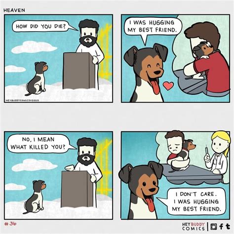 Hilariously Cute Doggo Comics That Any Dog Owner Can Relate To