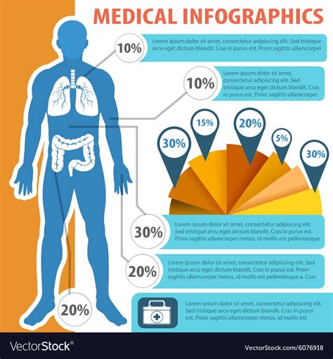 Medical Infographic With Human Anatomy Royalty Free Vector