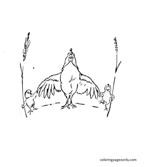 Mother Hen Coloring Pages Chicken Coloring Pages Coloring Pages For