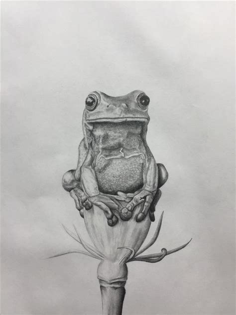 Pin By Ellen Bounds On My Mama Loved Frogs Frog Art Animal Drawings