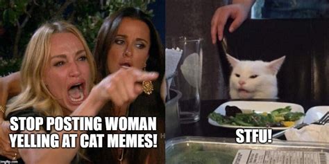 Woman Yelling At Cat Imgflip