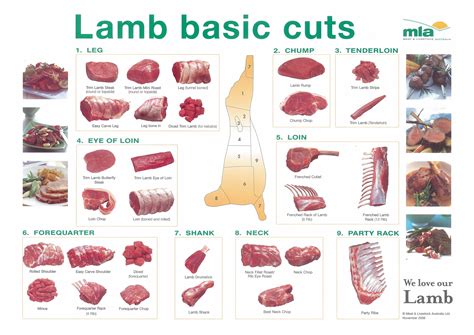 Charts Of Pork Beef And Lamb Cuts Lamb Cuts Meat Cuts Beef Cuts