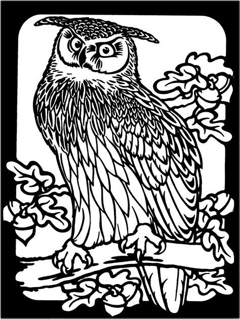20 Free Owl Coloring Pages Homecolor Homecolor