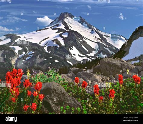 Mount Jefferson Cascade Range Oregon Stock Photo Alamy