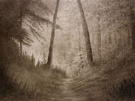 Pencil Drawing Of A Forest At Getdrawings Free Download