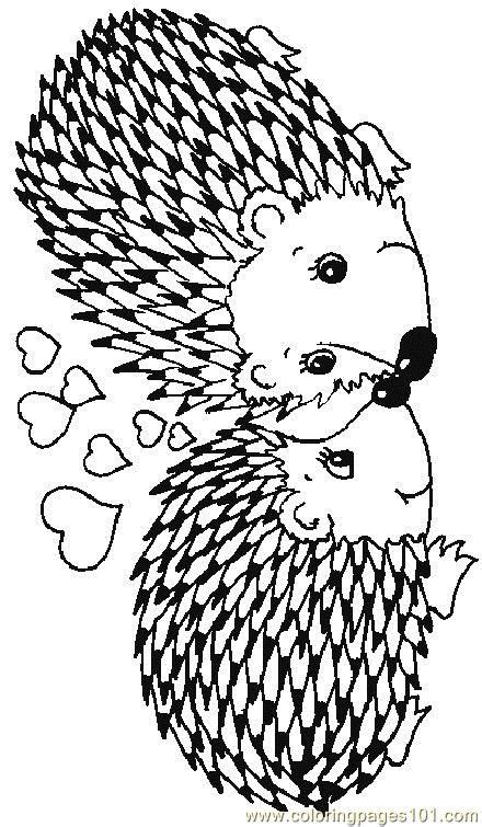 Coloring Pages Hedgehog 17 Mammals Hedgehogs Free