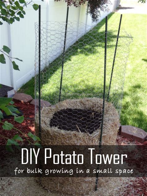 Place your planter near your bbq for handy cooking or use it as an edible focal point in your garden. How to Build a Potato Tower for Small Space Growing: 3 Types