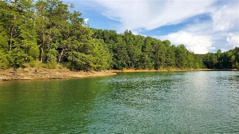 You can google for youtube videos on fishing nockamixon and will find some helpful info. Douglas Lake (Dandridge) - All You Need to Know BEFORE You ...