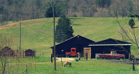 How To Start Homesteading In West Virginia Hello Homestead