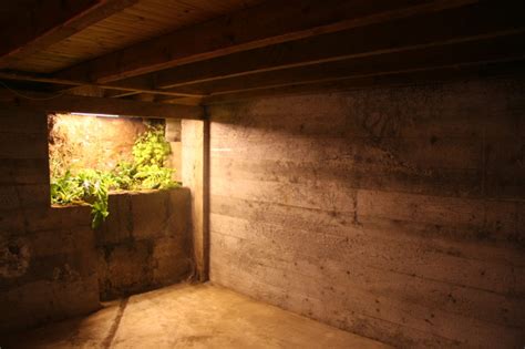 A basement has at least 50 percent of its height above street level, but a cellar has at least half its height underground, says nadine adamson , an associate broker at. Basement garden - Ásgeir Skúlason