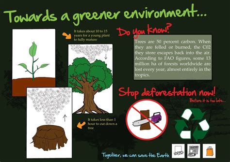 Towards A Greener Environment Green Environment Infographic Environment
