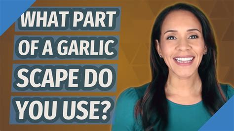 What Part Of A Garlic Scape Do You Use Youtube