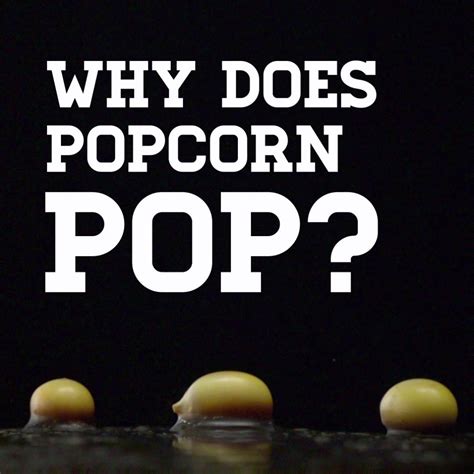 Why Does Popcorn Pop Happy National Popcorn Day Indiana Ranks 2nd