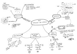 Plant cells gcse mind map. Mind map for B4d: Diffusion and Osmosis OCR Gateway ...