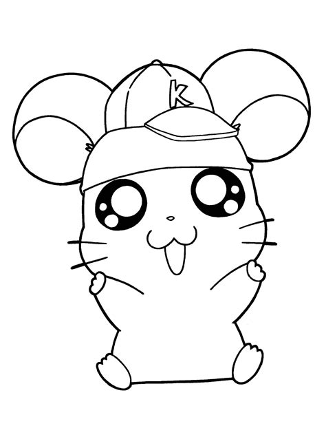 Hamster Com Chap U Para Colorir Imprimir E Desenhar Colorir Me