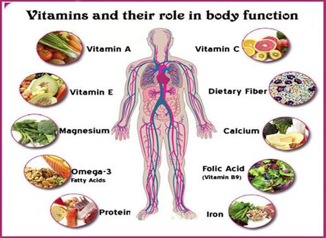 Vitamins And Their Role In Body Functionhuge Effects On Body