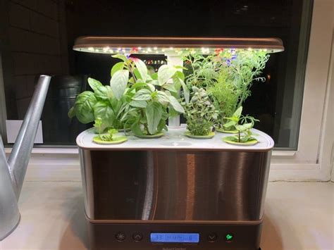 I added a few notes of my own in green, to help growers follow along if they're not as familiar with led grow lights. AeroGarden Review And Comparison (My Real World Experience ...