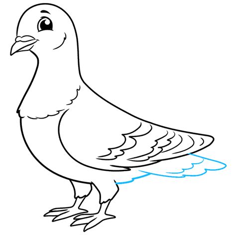 How To Draw A Pigeon Really Easy Drawing Tutorial Unianimal