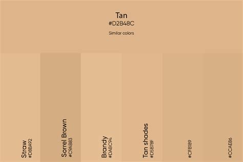 Tan Color Its Meaning Codes And Top Palette Ideas Picsart Blog