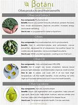 Olive Leaf Tea Health Benefits Pictures
