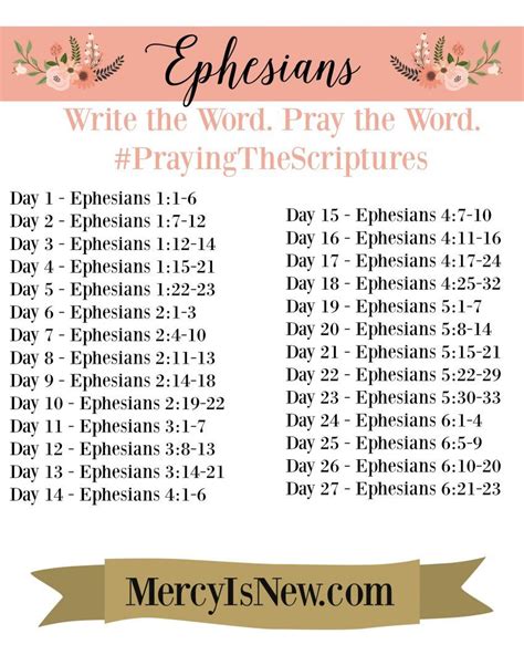 Ephesians Write The Word Pray The Word Scripture Writing Plans Read