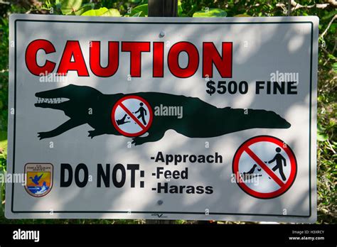 Alligators Danger Sign Hi Res Stock Photography And Images Alamy
