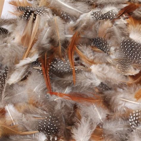 Natural Craft Feathers - Art & Craft from Early Years Resources UK