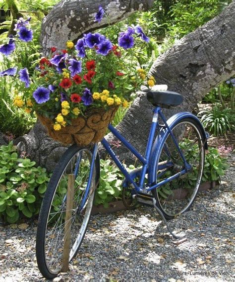Bright And Cheery Flower Basket On Bicycle Pictures Photos And Images
