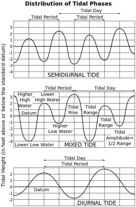 Tide Wikipedia